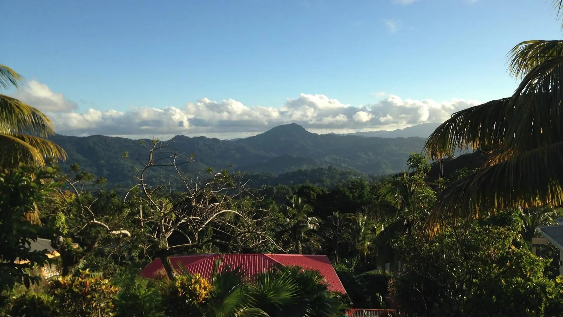 Aparthotel Italian Guesthouse Gros Islet